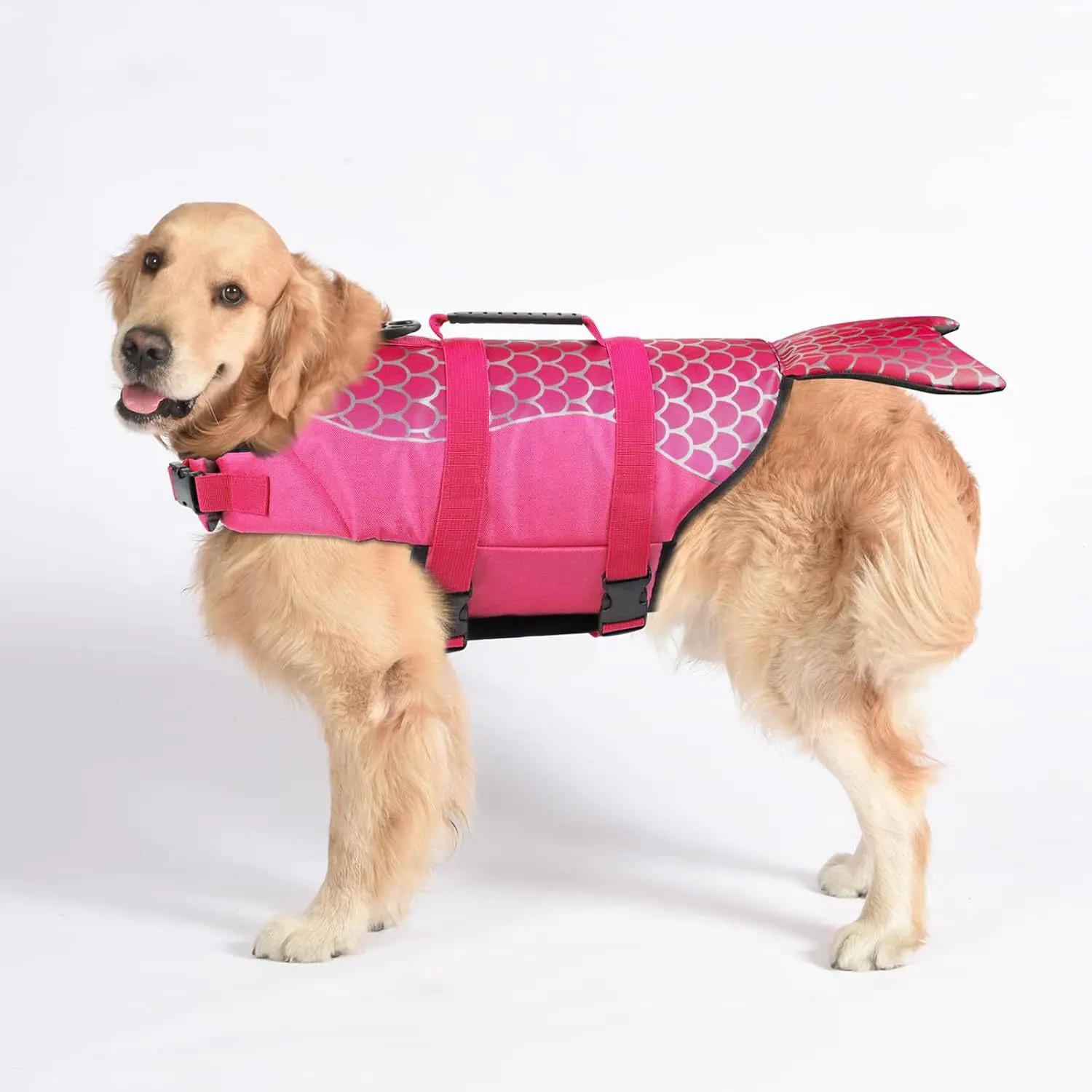 European and American cross-border e-commerce dog life jacket floating clothes Amazon popular large and small dog swimsuit pet s