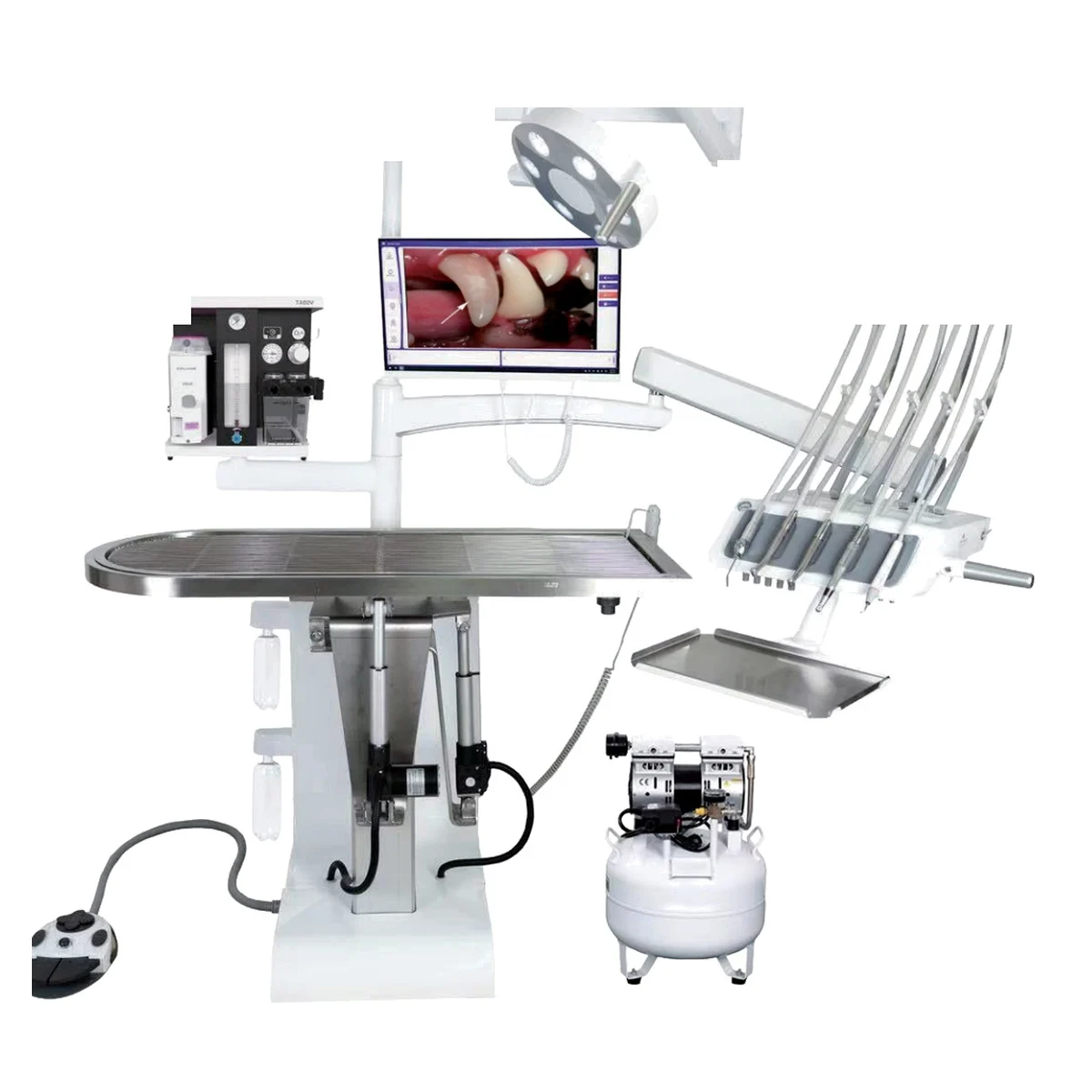 Integrated multifunctional veterinary  workstations, veterinary equipment