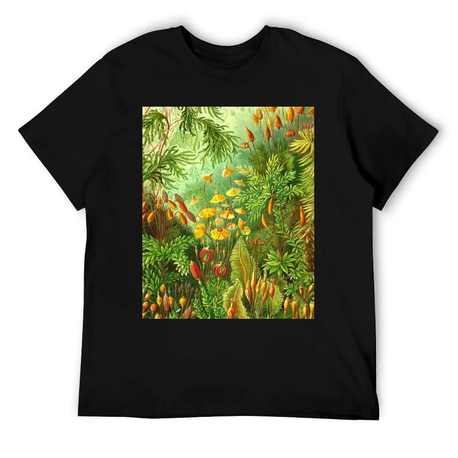 موس - ارنست هيكل تي شيرت رجل تي شيرت للرجال رجالي جرافيك تي شيرت تي شيرت مع مطبوعات تي شيرت #1