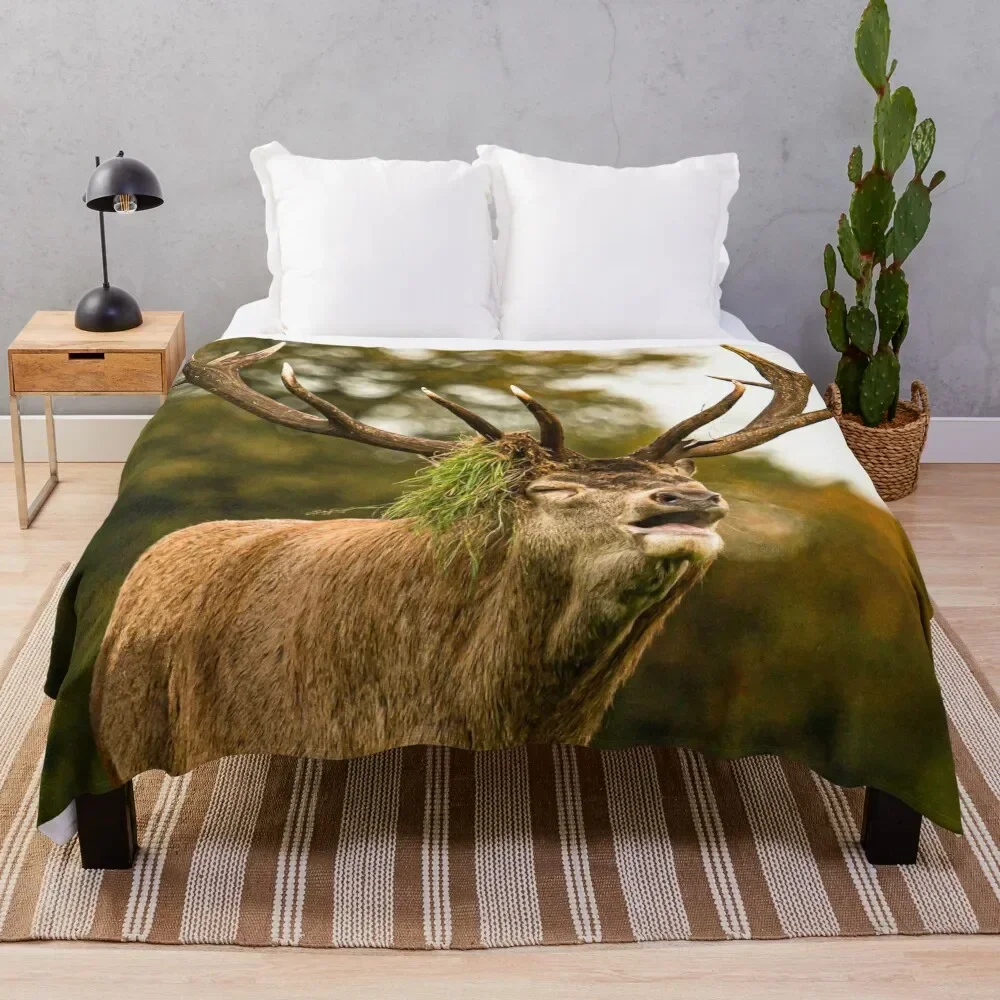 

The winner deer Throw Blanket