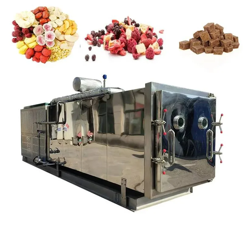 Large Capacity 500Kg-1200Kg Commercial Lyophilizer Vacuum Dryer For Pet Food Fruit & Vegetable Freeze Drying Machines