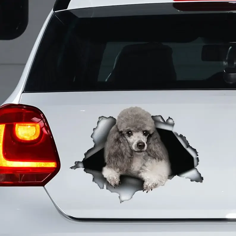 Silver Toy Poodle decal , Silver Toy Poodle magnet, Poodle sticker,car decal