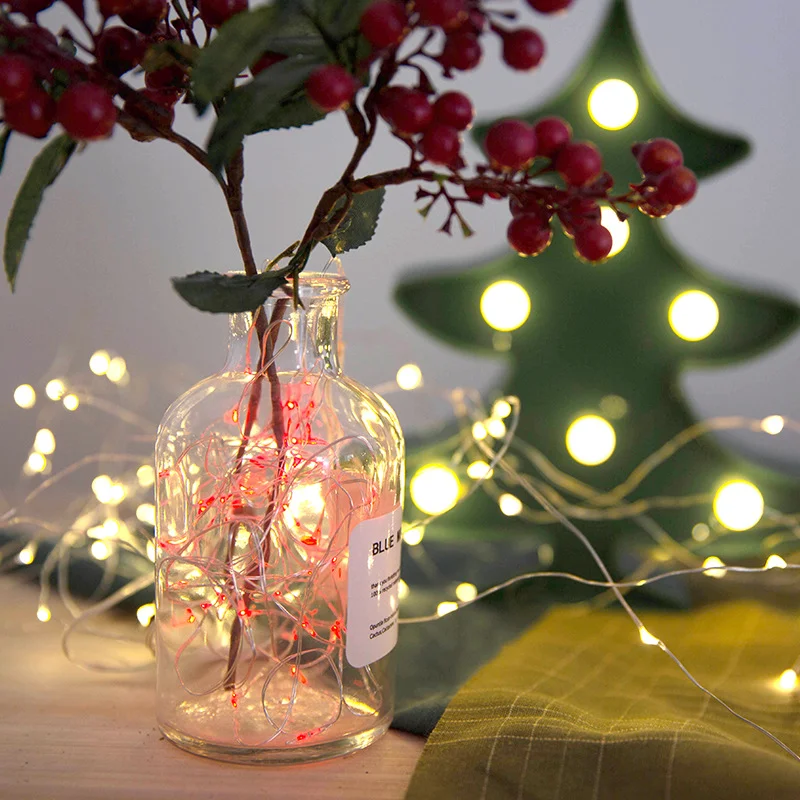 3/10/20M USB LED String Lights Cobre Silver Wire Garland Light Waterproof Fairy Lights For Christmas Wedding Party Decoração