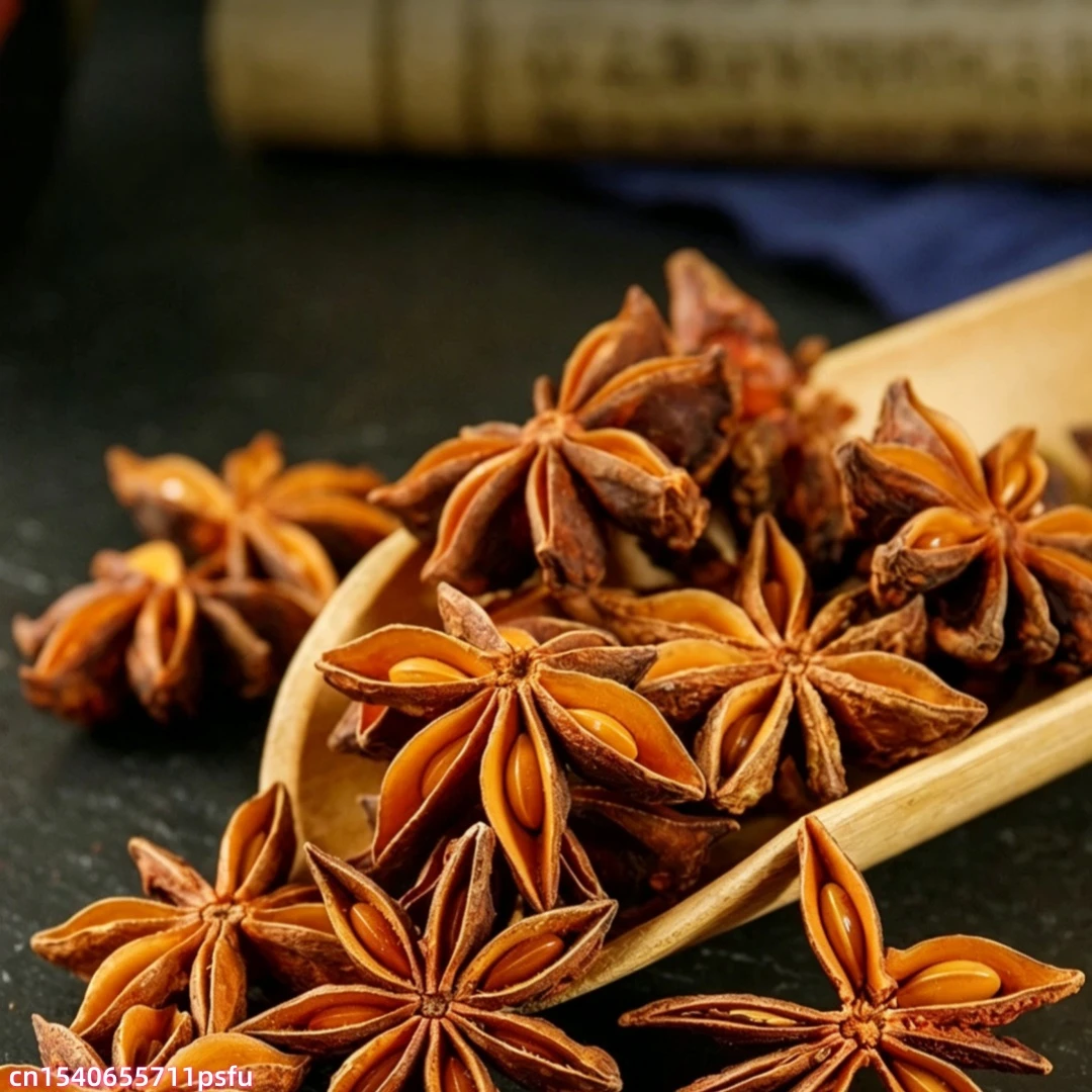Top Natural Star Anise Dried Flower Kitchen Seasoning Spice Supply Soap Wedding Candle Material Homemade Fragrance Outdoor Decor