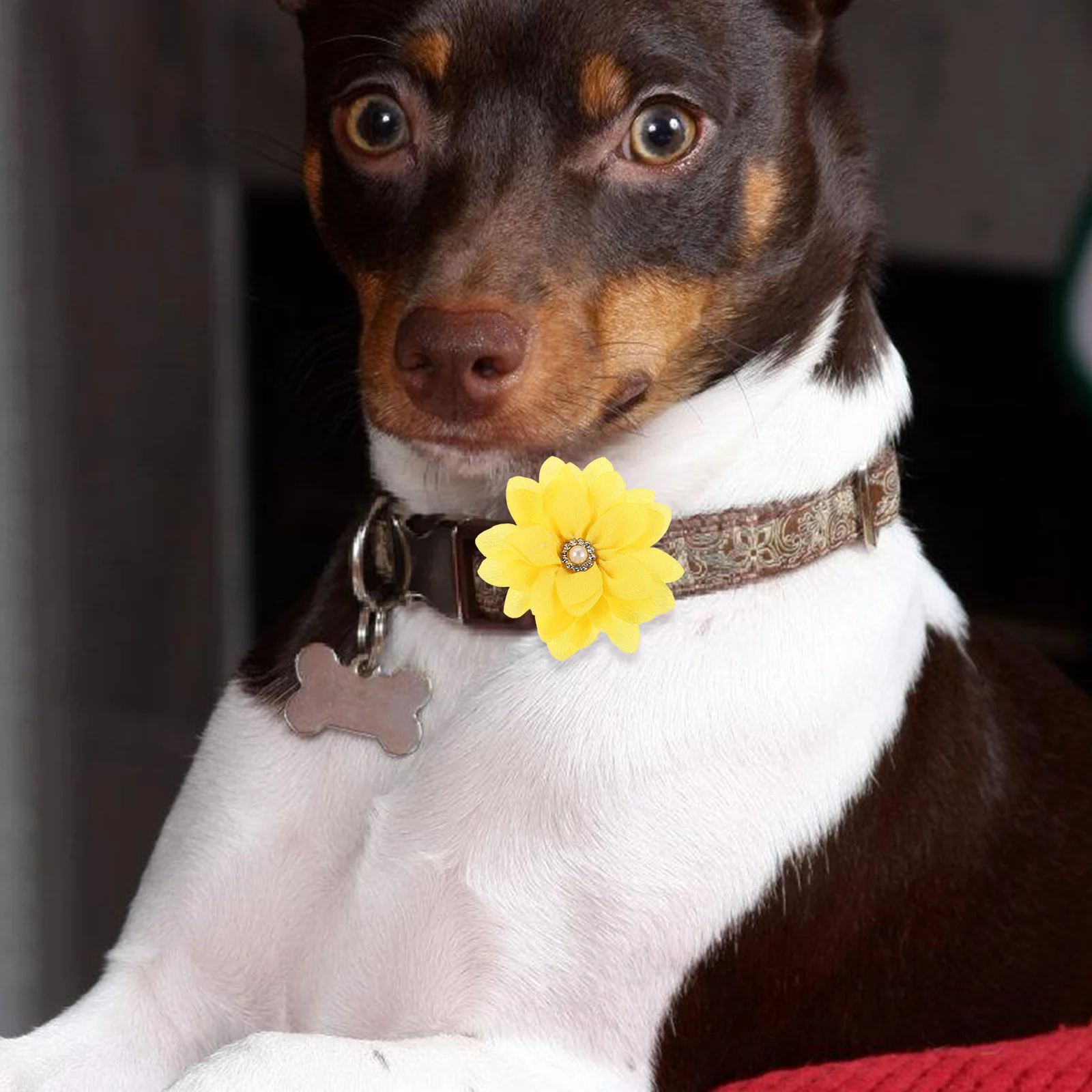 

15Pcs Pet Collar Flowers Lightweight Chiffon Dog Cat Collar Flower Decoration Pearl Rhinestone Wedding Party Accessories