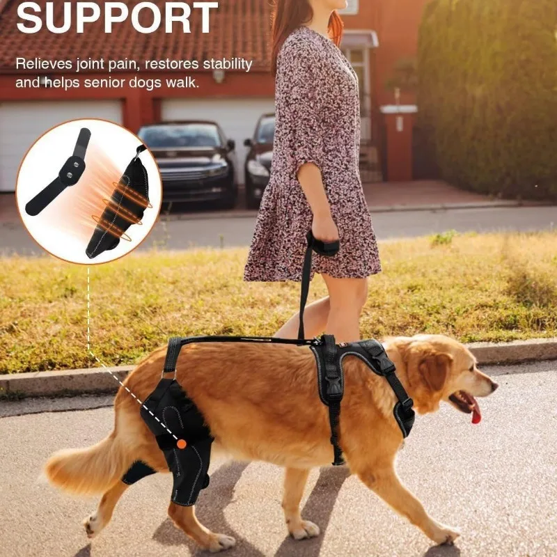 Dog Hind Leg Knee Support Brace Large Breed Pet Joint Protector Wrap Recovery Auxiliary Strap
