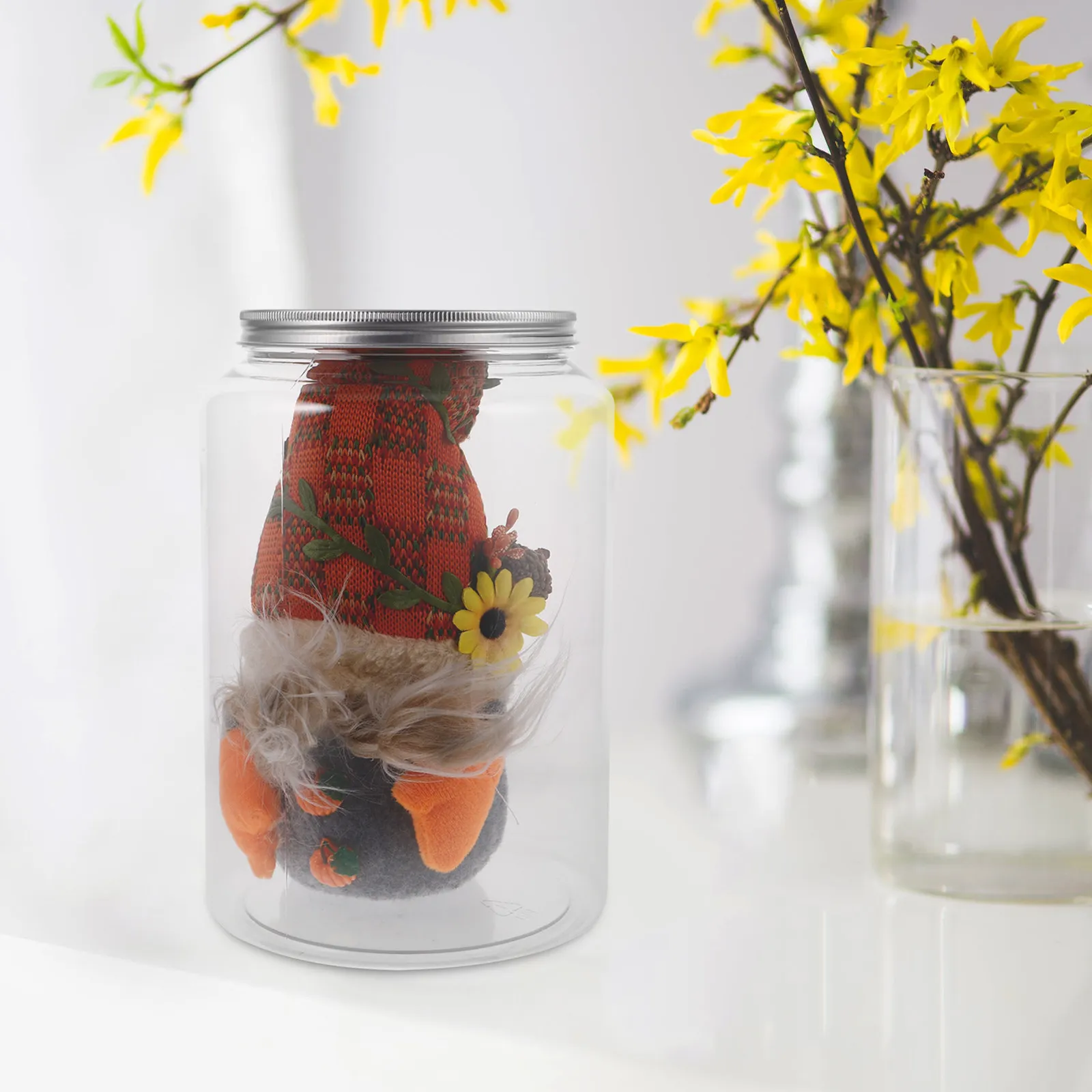 Clear Storage Jar Lid 20cm Transparent Dustproof Display Box for Cotton, Collectibles & Organizing