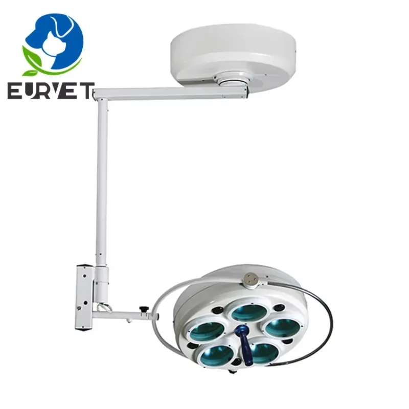 2026 Veterinary Instrument Wall-mounted LED Surgical Medical Exam Light LED Light Ceiling Mounted for Animal Care and Supplies