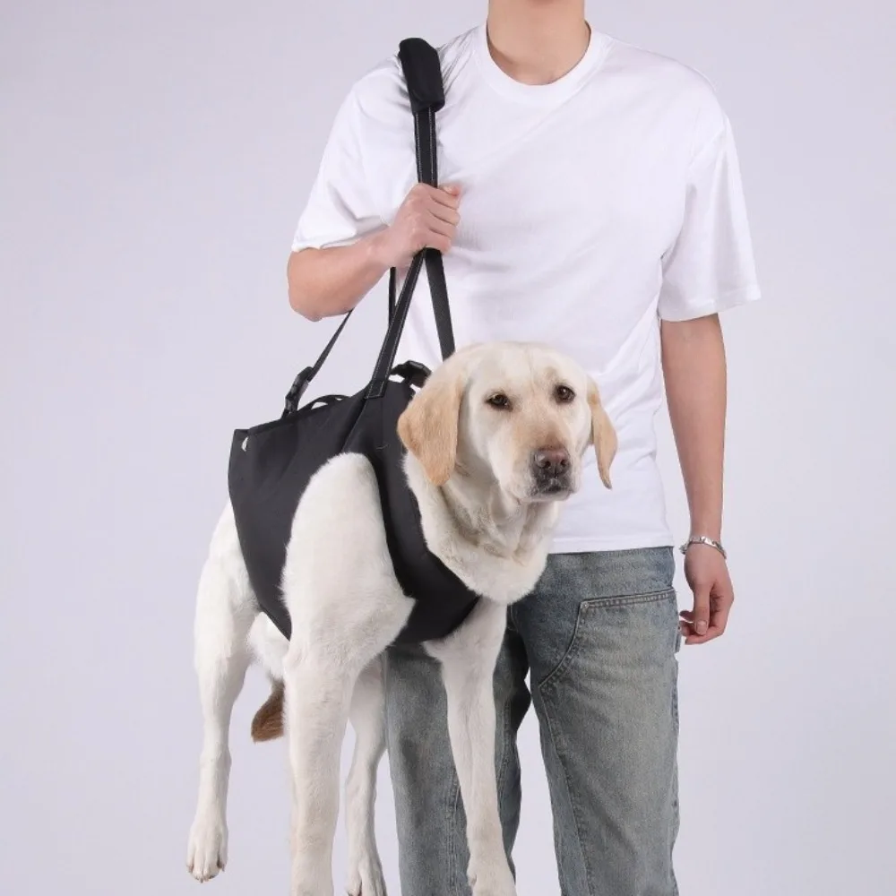 Thumbnail 2 - #66 Best Adjustable Pet Collars to Buy In 2026