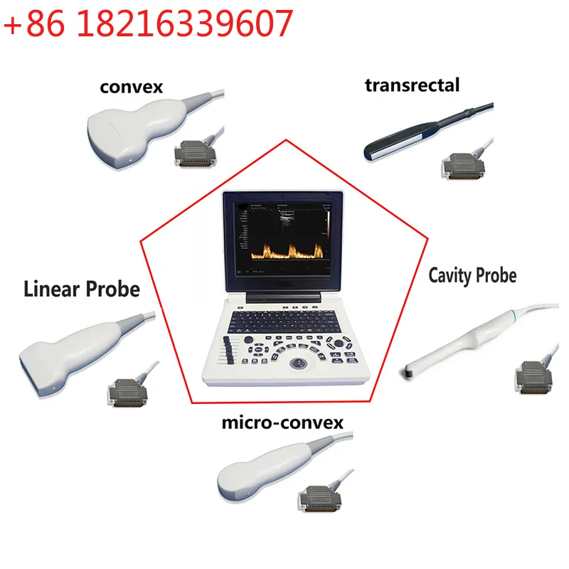YAO Veterinary Ultrasound Handheld Scanner Convex, Convex Probes, Microconvex Probe, Rectal Probe, Linear Probe, Luminal Probe