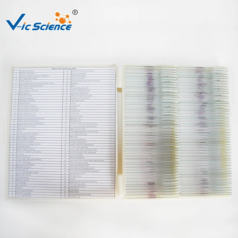 200pcs pathology prepared slides for Teaching experiments