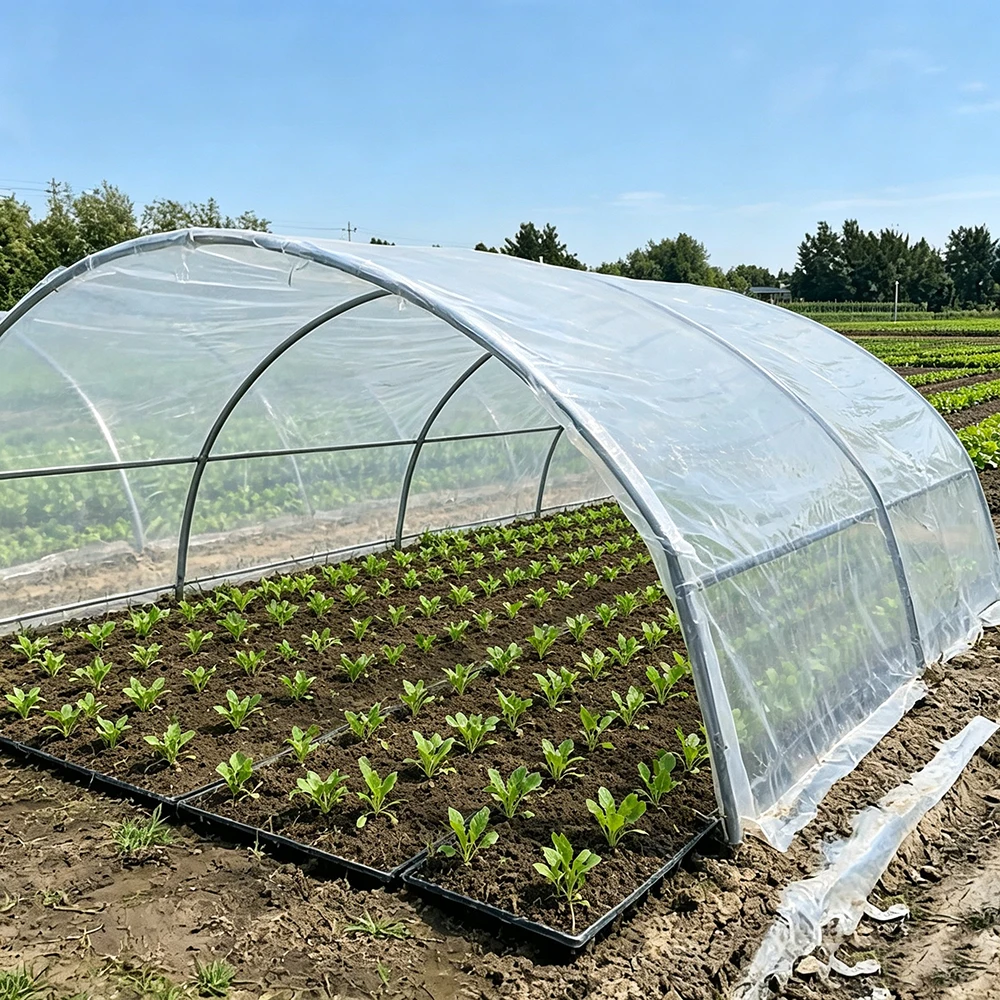 Clear Greenhouse Film 4 Mil Thickened Polyethylene UV Resistant Weatherproof Dustproof Garden Hoop Tunnel Plant Cover Hot Sale