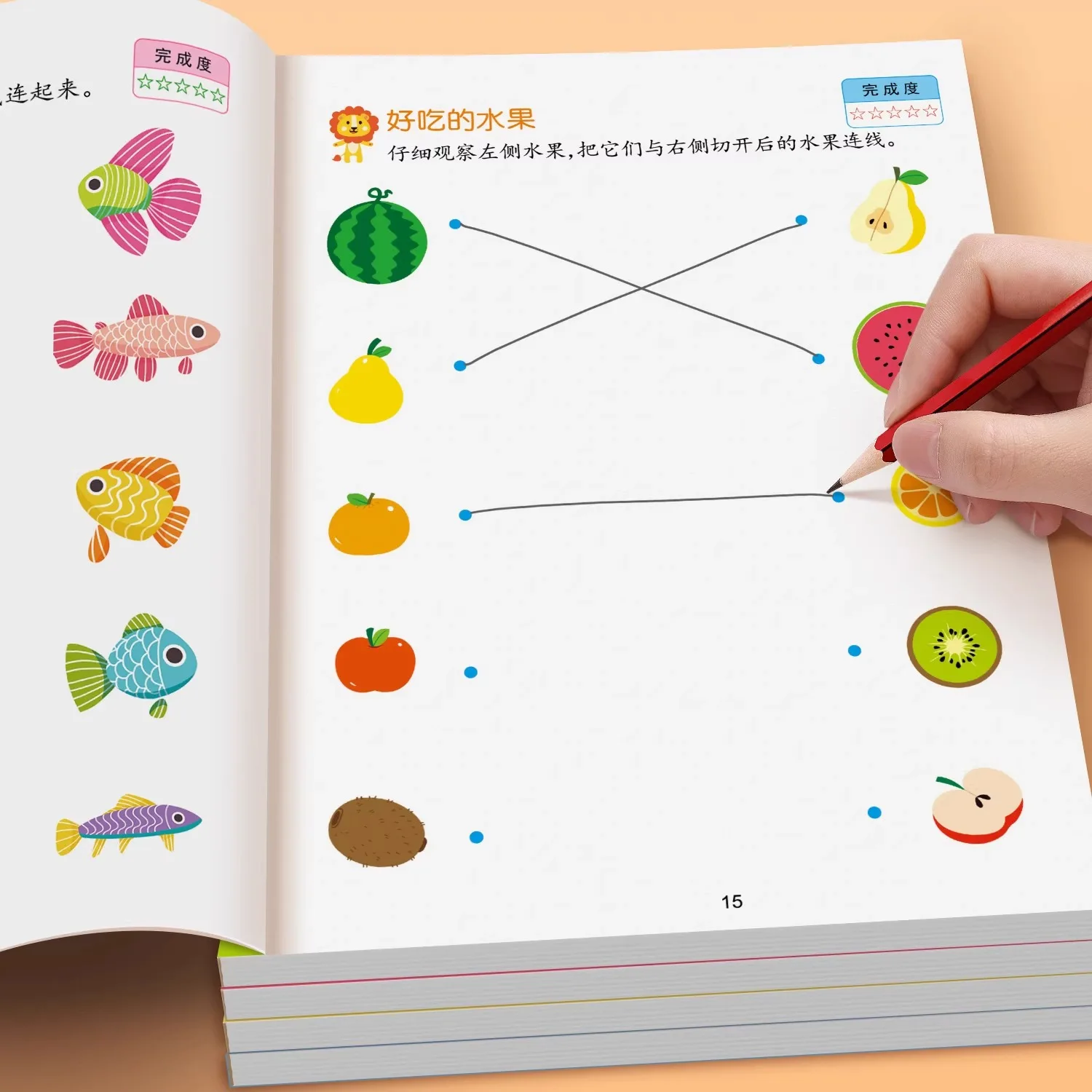 

Children's concentration, visual observation, intelligence development, mathematics enlightenment textbook picture book