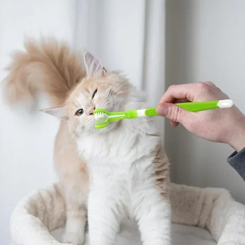 3-Sided Pet Toothbrush for Dogs & Cats – Tartar Remover — detail image 5