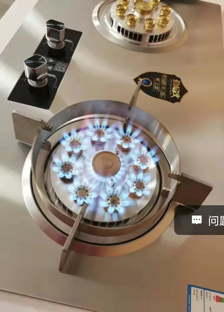 7kw Chức Năng Hẹn Giờ An Toàn 2 Chảo Brenner Schufele Chảo Burner Bếp Gas Giá Burner Nhà Bếp Được Xây Dựng-Trong Khí Burner