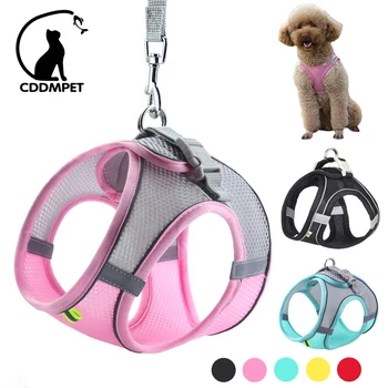 Small Dog Harness Leash Set 1