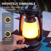 Retro Solar Camping Light USB Rechargeable LED Portable Lantern Waterproof Outdoor Hanging Emergency Tent Atmosphere Horse Lamp