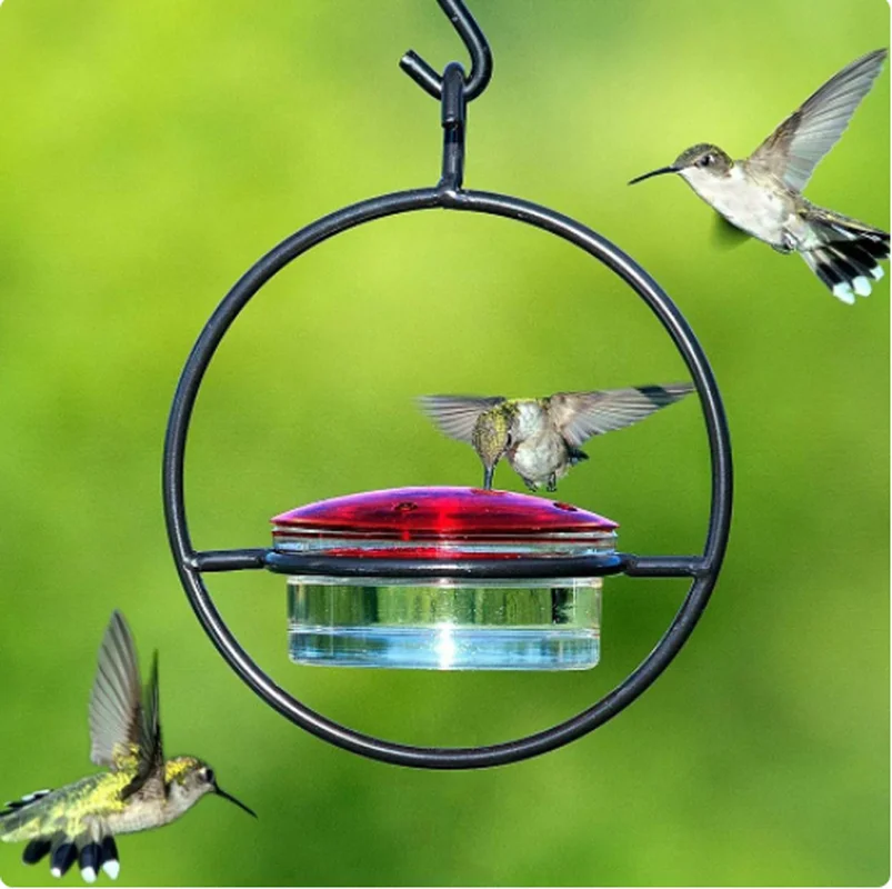 Hummingbird Feeder Tray with Red BowlOutdoor Humming Bird Feeder Attract Birds for Outside Garden Backyard Patio Deck