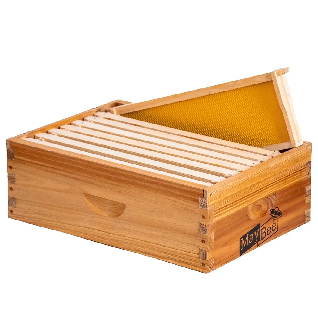 8-Frame Beehive Box Langstroth Medium Super Bee Box for Sale Wax Coated Bee Hives Includes Wooden Frames & Waxed Foundations