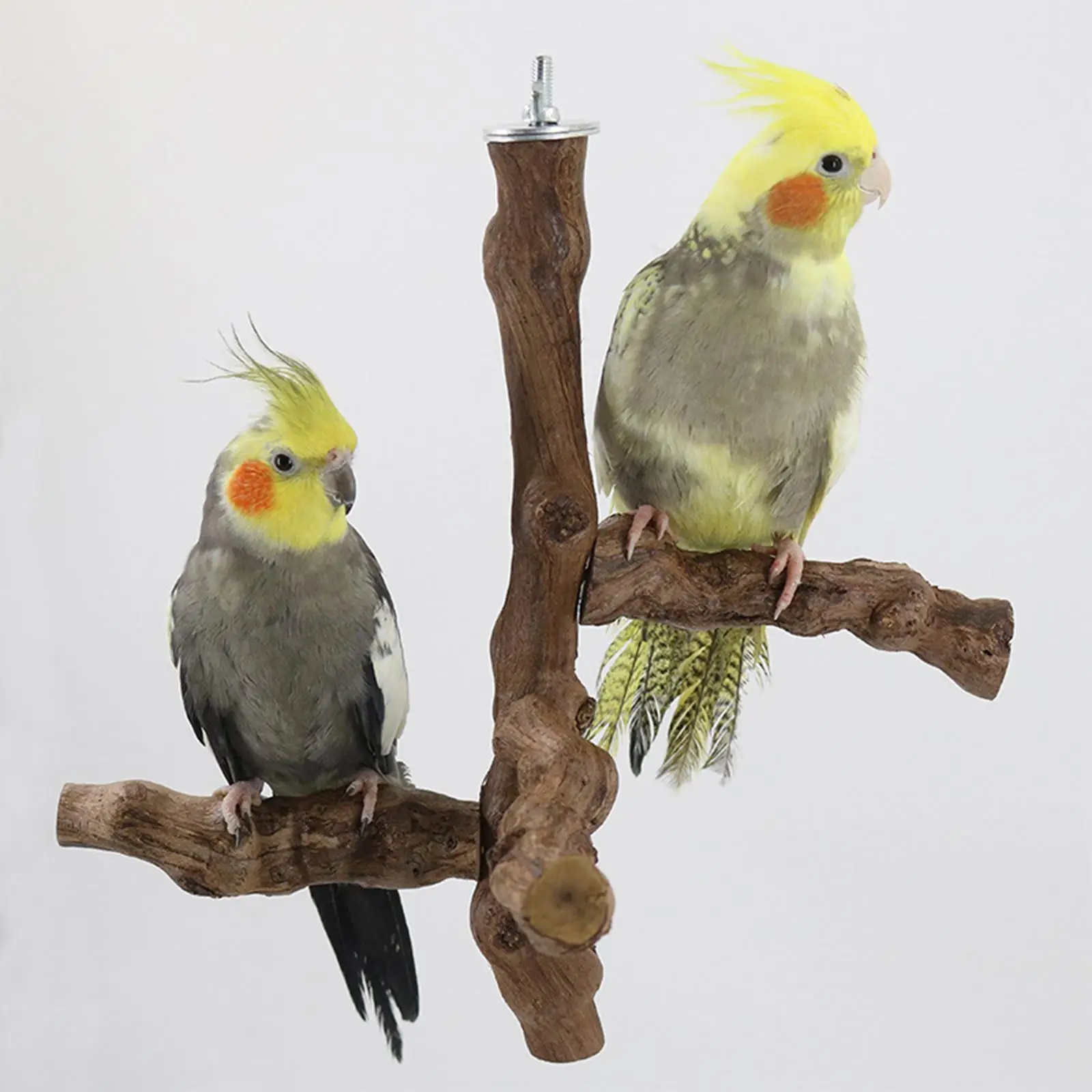 Wood Bird Perch Stand Hanging Parrot Perch for Cockatiels Macaws Love Birds