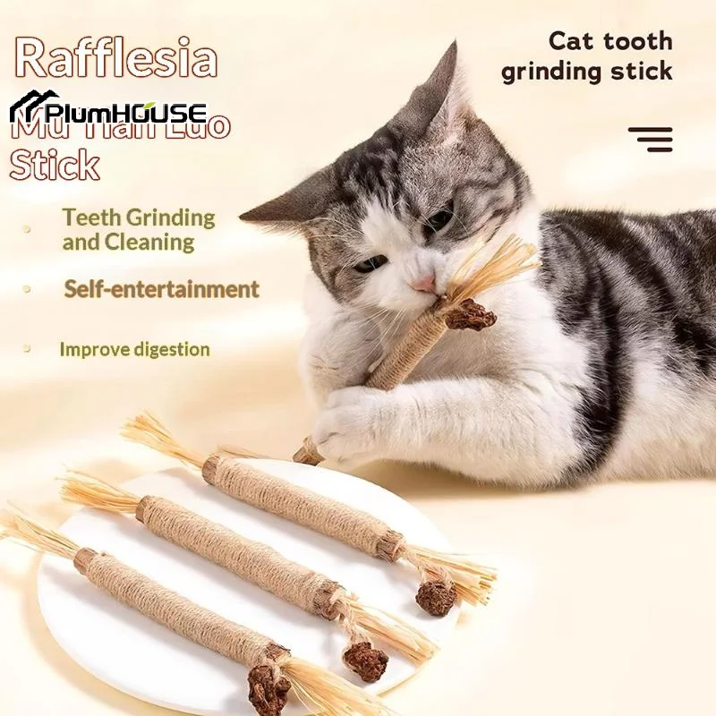 1-2-шт-игрушки-для-кошек-из-дерева-палочки-для-прорезывания-зубов-с-водорослями-галлы-насекомых-рафия-сизалевая-веревка-игрушки-для-чистки-зубов-палочки-для-кошек
