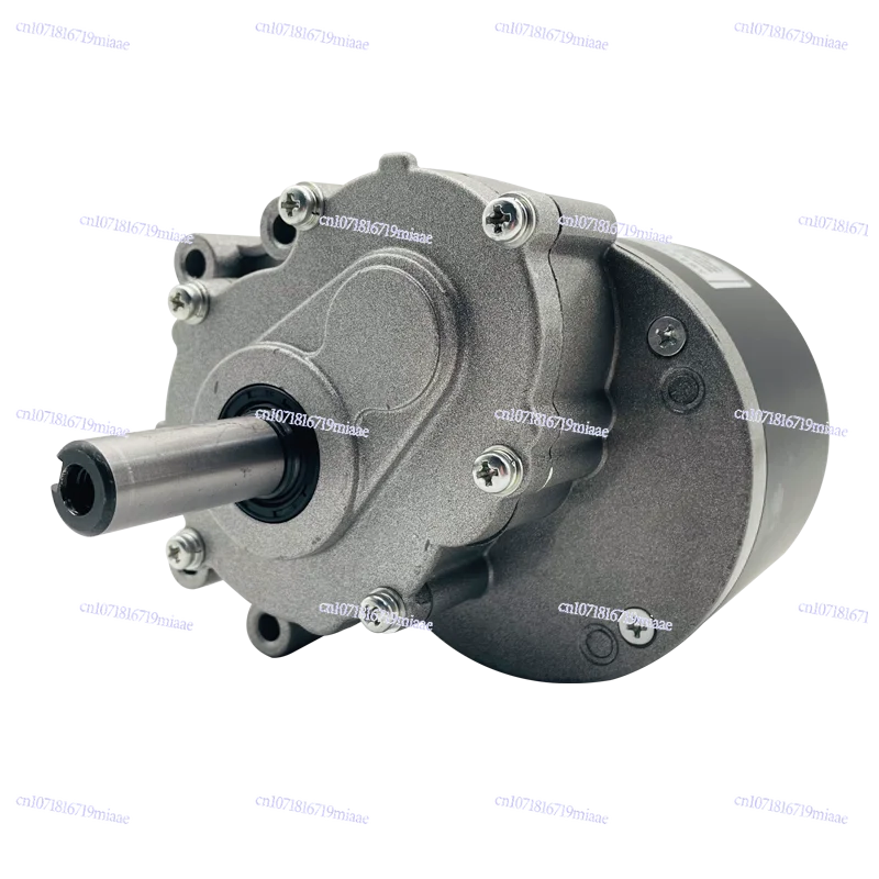 DC Brushed, Low Speed, Secondary Gear Electric Vehicle Motor 24V250W Wheelchair Motor 120/75 Rpm