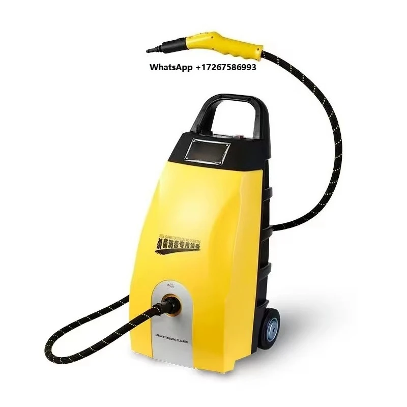 Portable 12V Electric Ozone Cleaner High-Pressure Steam Car Wash Machine with CE Engine Model Number Washer