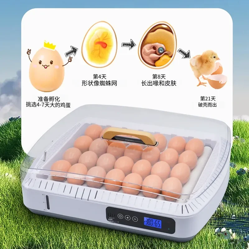 Automatic Mini Egg Incubator Intelligent Small Hatcher for Chicken Duck Goose Eggs Household Poultry Breeding Machine Digital