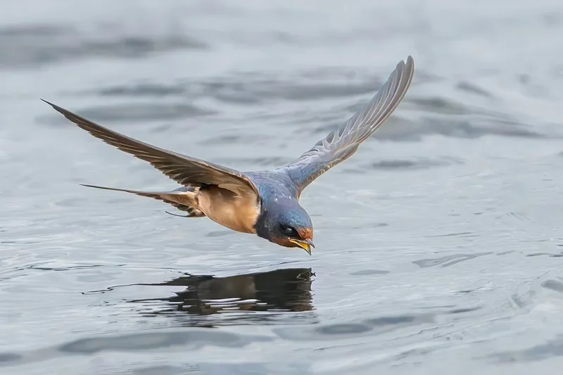 

Бесщеточный двигатель BETAFPV LAVA 1102 — кабель 14000 кВ, 22/44 мм для FPV-дронов (совместим с Pavo Femto)
