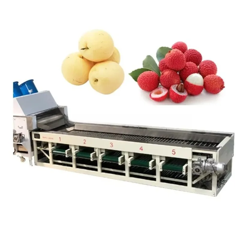 Vegetable/fruit Sorting Machine Passion Fruit Cherry Pear apple Orange Hawthorn Peach Apricot Kiwi Longan Litchi Grading Machine