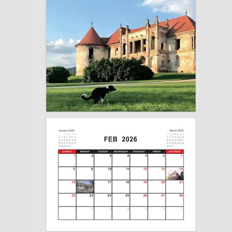 Calendrier Animal drôle suspendu de 12 mois, planification familiale, chiot mignon, planificateur, calendrier familial, mémo, cadeau pour amis, 2026