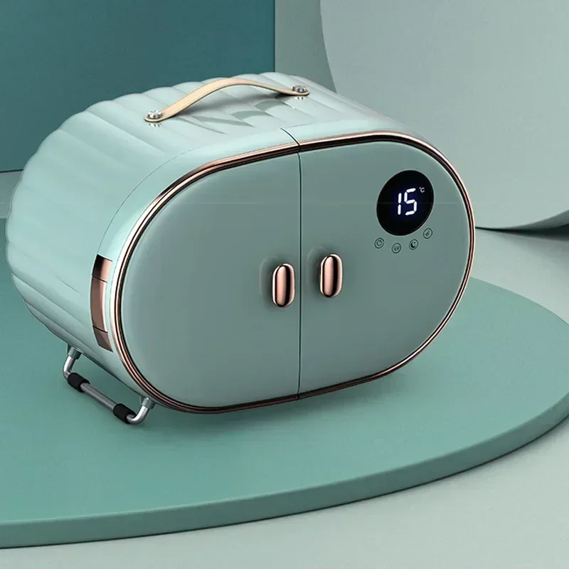 سطح المكتب الكهربائية الجمال الثلاجة سيارة المنزل الاستخدام المزدوج مستحضرات التجميل منتجات العناية بالبشرة ثلاجة صغيرة تخزين قناع تيم ثابت #1