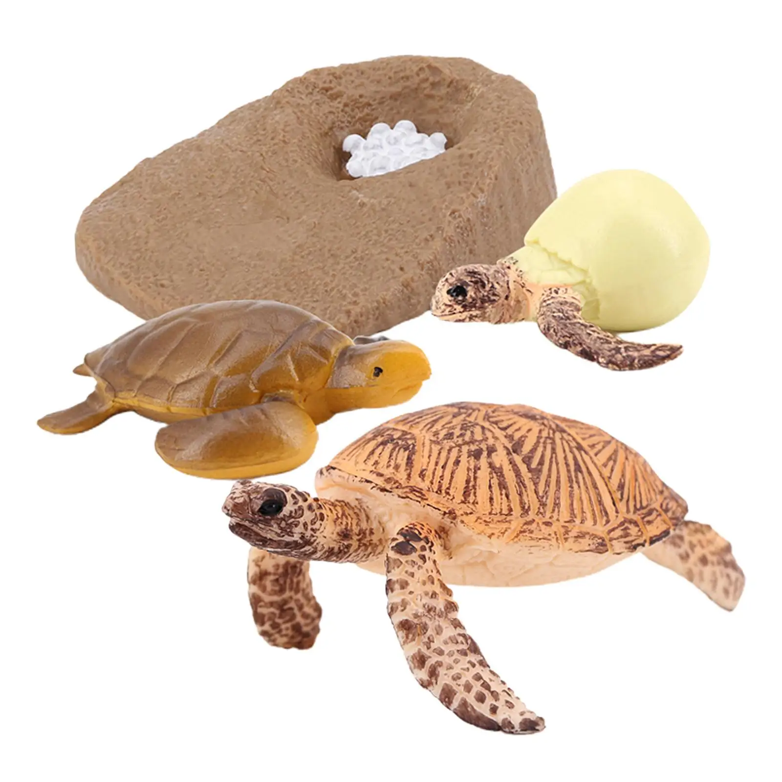 

Simulation Sea Animal Turtle Life Cycle Kids Learning Toys sea turtle 2423
