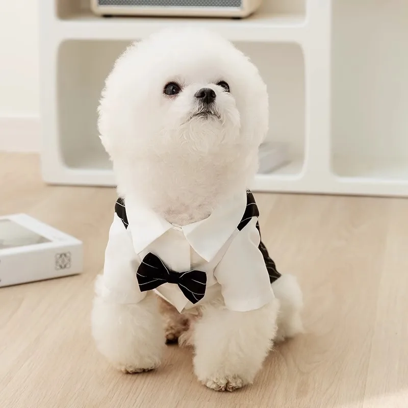 Dog Boy Suit Summer New Pet Tuxedo Puppy Dress Teddy Fashion Shirt Dog Two Legs Cardigan Yorkshire Bow Tie Vest