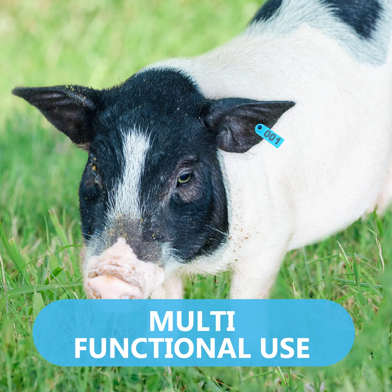 Étiquettes d'oreille numérotées en Tpu pour animaux de ferme, 100 pièces, pour bovins, moutons, chèvres, porcs, système d'identification du bétail, Kit d'étiquettes d'oreille de vache