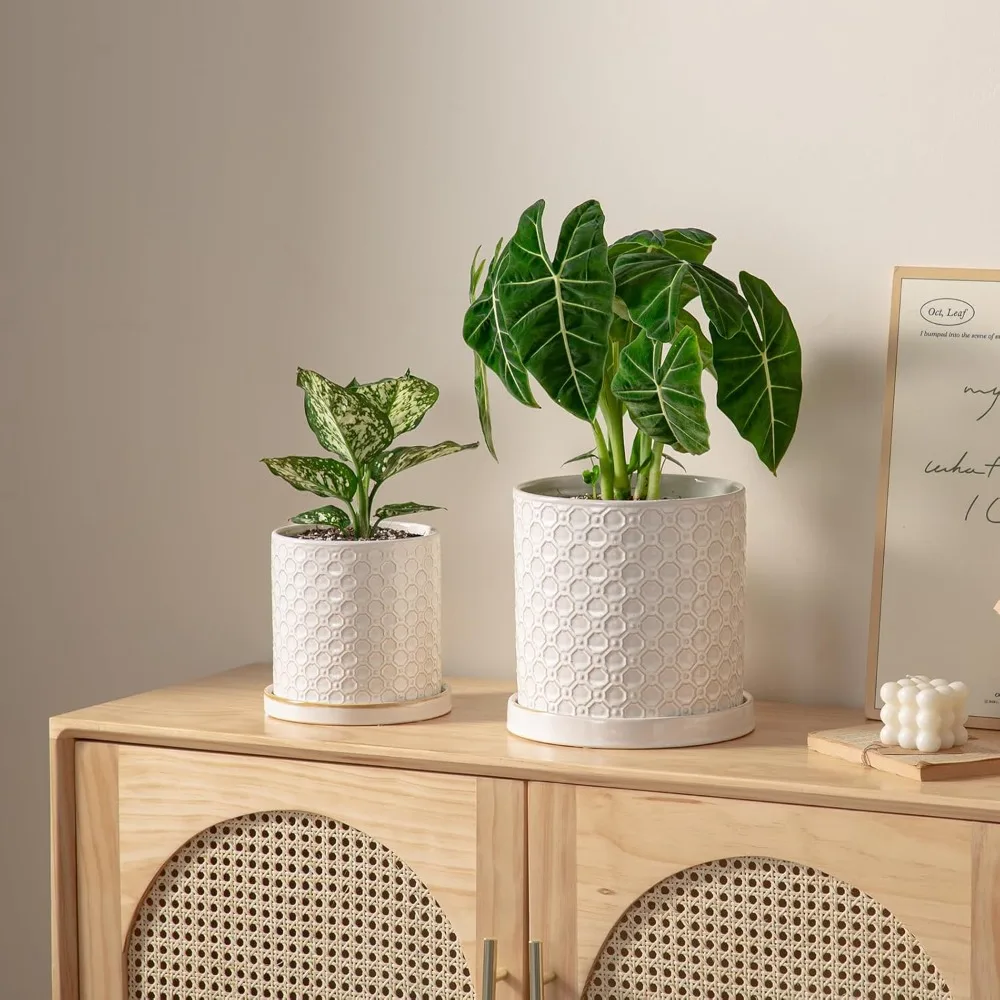 زارع سيراميك مقاس 8 بوصة مع فتحة تصريف وصحون للنباتات الداخلية والخارجية - وعاء زهور أبيض حديث