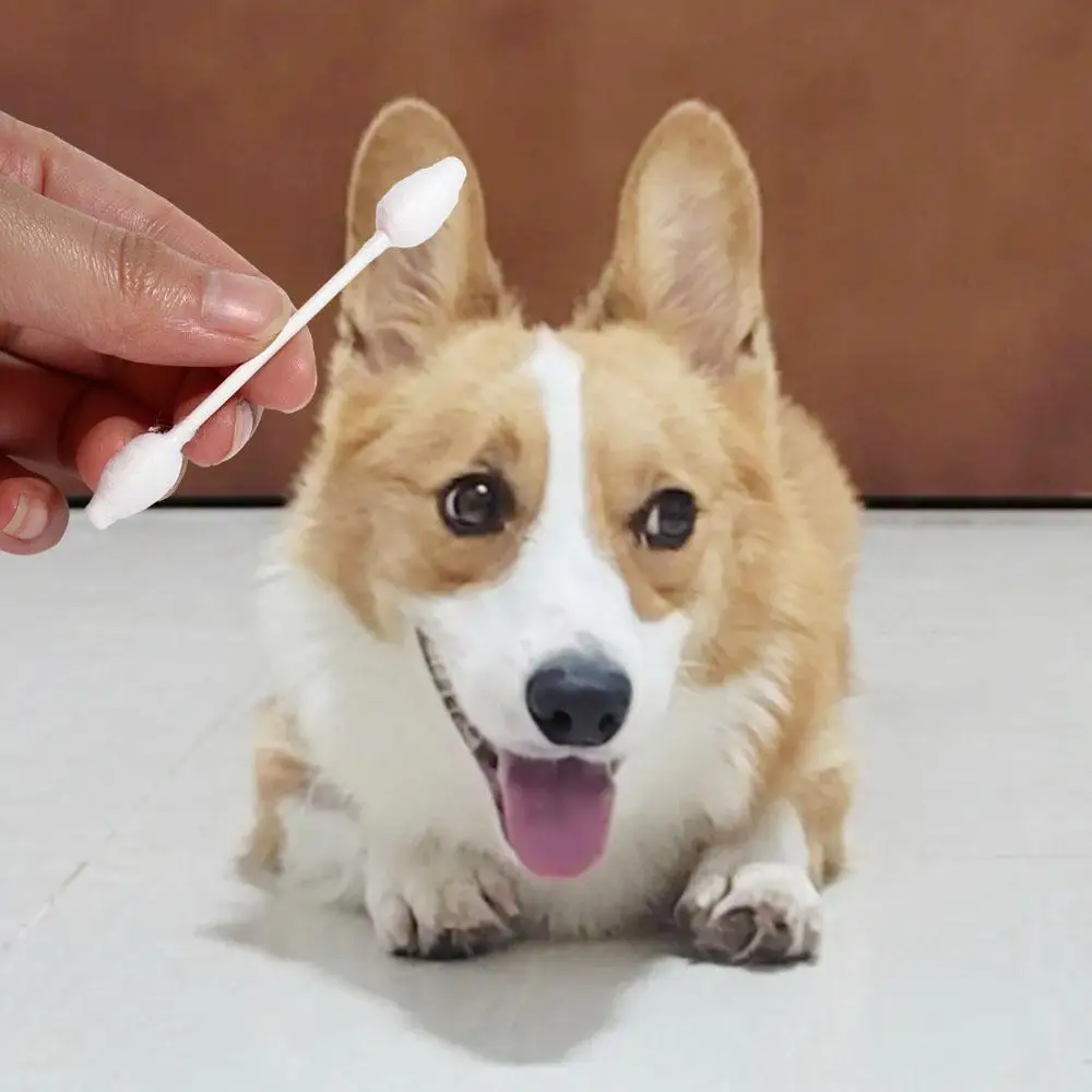 

Household Double-Headed Pet Cotton Sticks with Storage Box Ears Cleaning Sticks Cotton Bud Buds Tip Swabs Nose Cleaning Tool