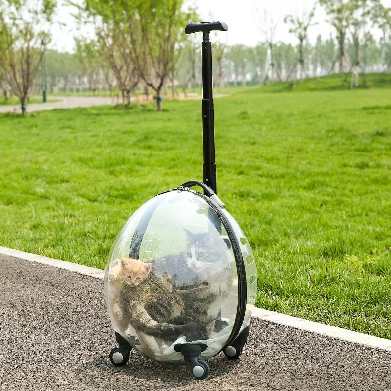 pet suitcase, transparent trolley case cat bag, convenient going out, large-capacity pet space capsule, portable dog cart