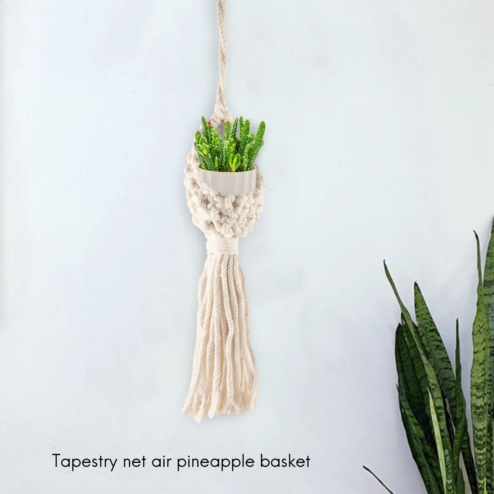 Boho Macrame Air Plant Hanger Tillandsia Hangende Mand Touw Houder Bloem Interieur (13Cm)