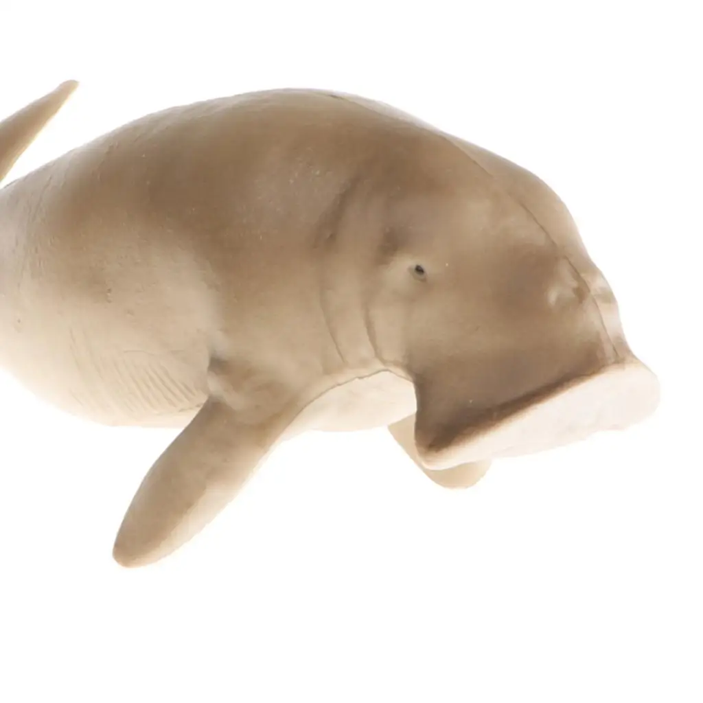 Figurine d'action de lamantin réaliste, modèle Dugong Ocean en plastique, 5.6 en effet