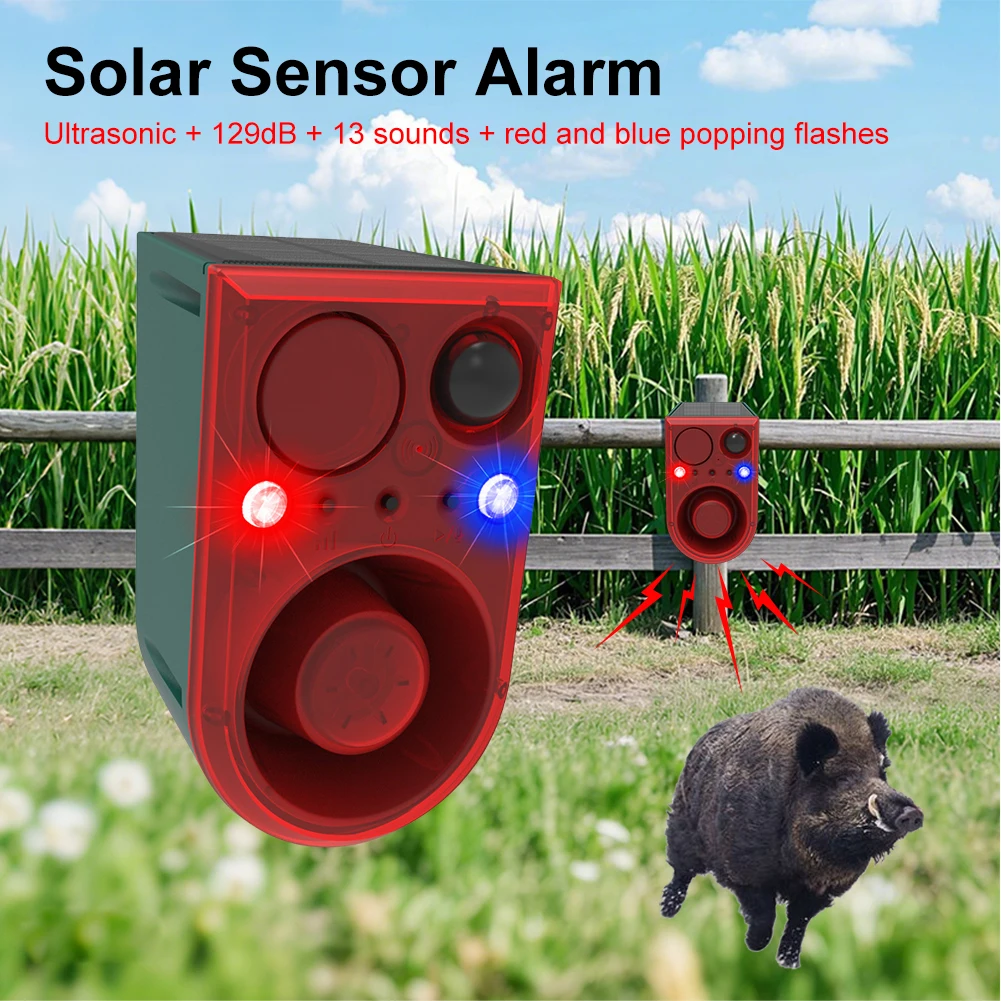 Solar-Bewegungssensor-Alarm Wa – Home Security Yard Sensors Bewertung und Preis