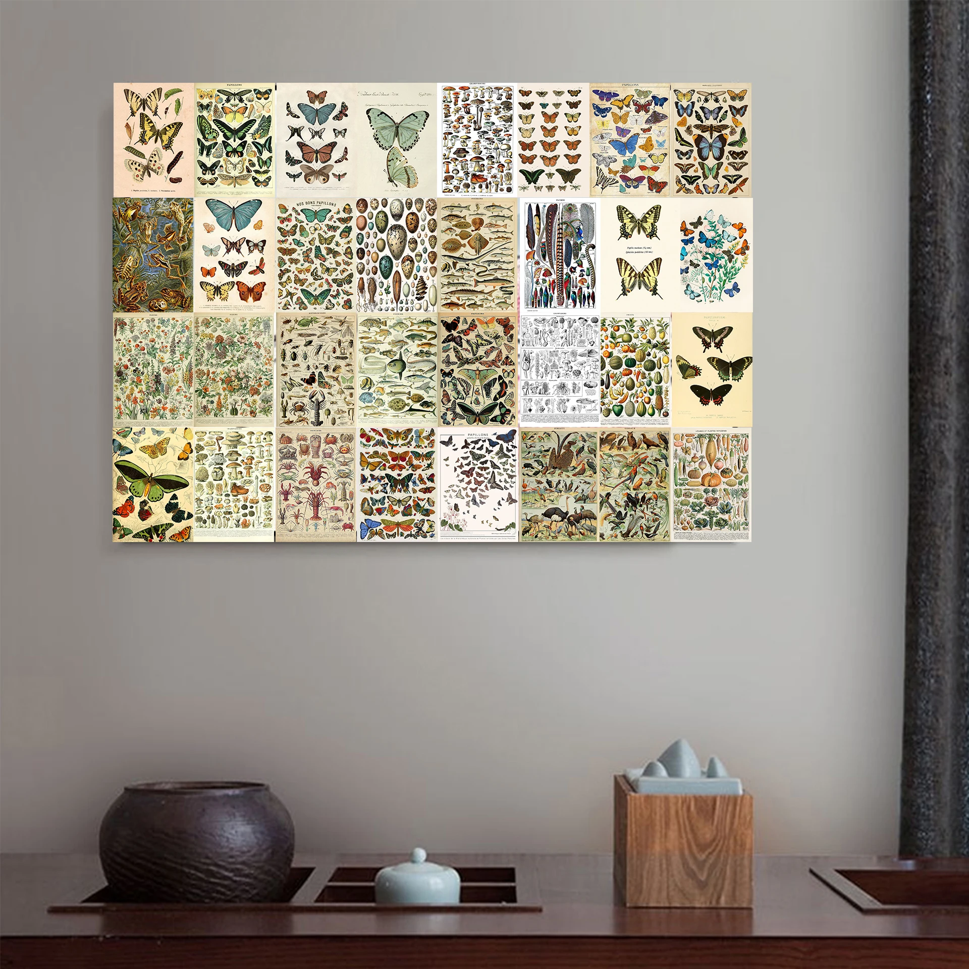 25PCS/Set Vintage Adolphe Millot Encyclopedia Butterfly STICKER Mushrooms Herbs Flowers Insect Classic Wall Stickers