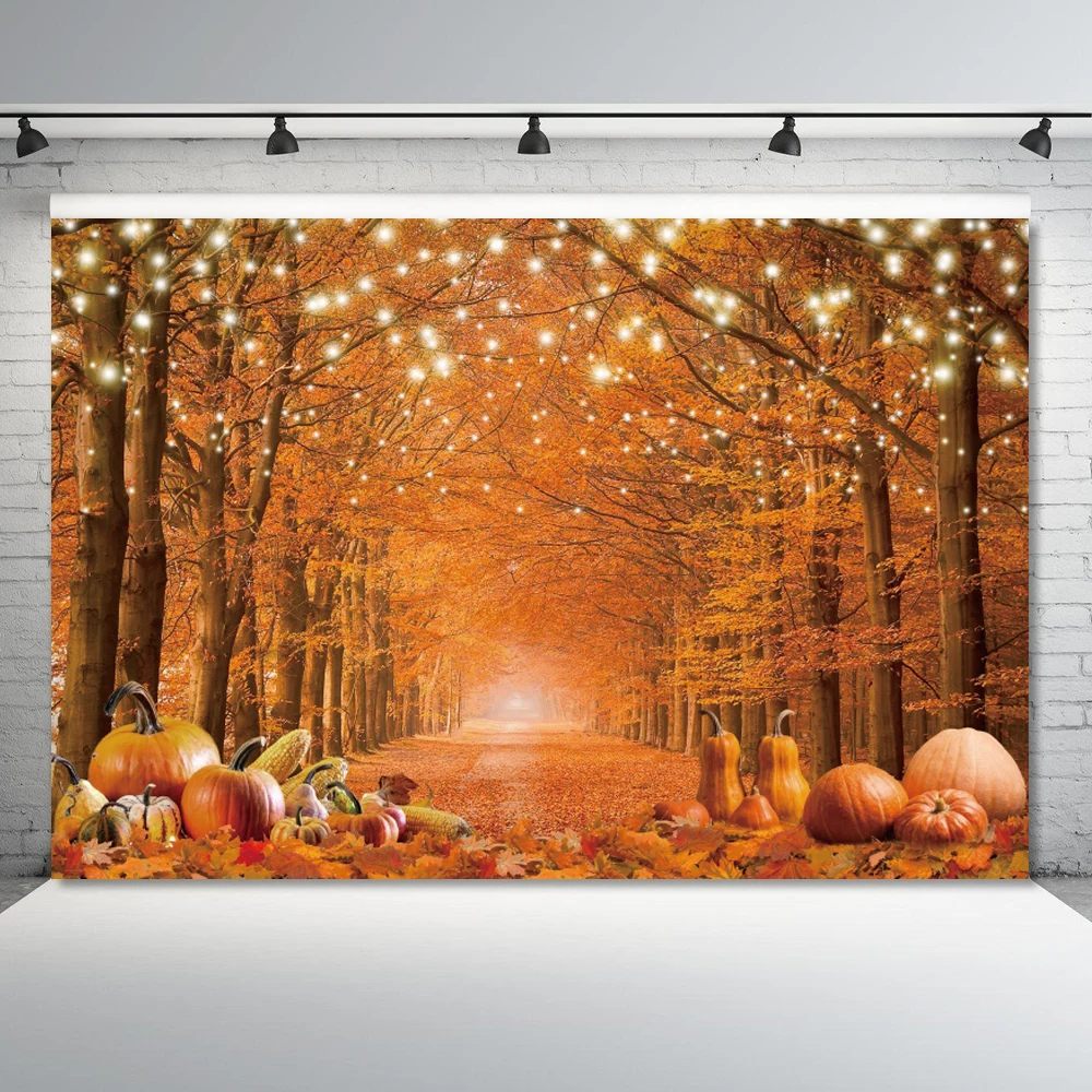 خلفية صور الخريف للتصوير الفوتوغرافي ، خلفية غابة الخريف ، أوراق القيقب لعيد الشكر ، يقطين الصديق ، ديكور الحفلات
