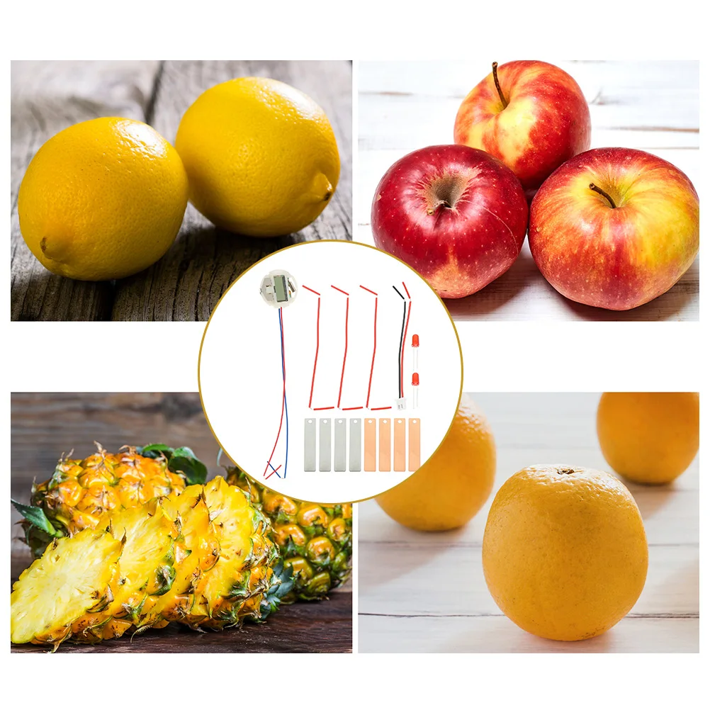 

2 Sets Fruit Experiment Student Diy Science Kits Making Supplies Student Experiment School Science Kit