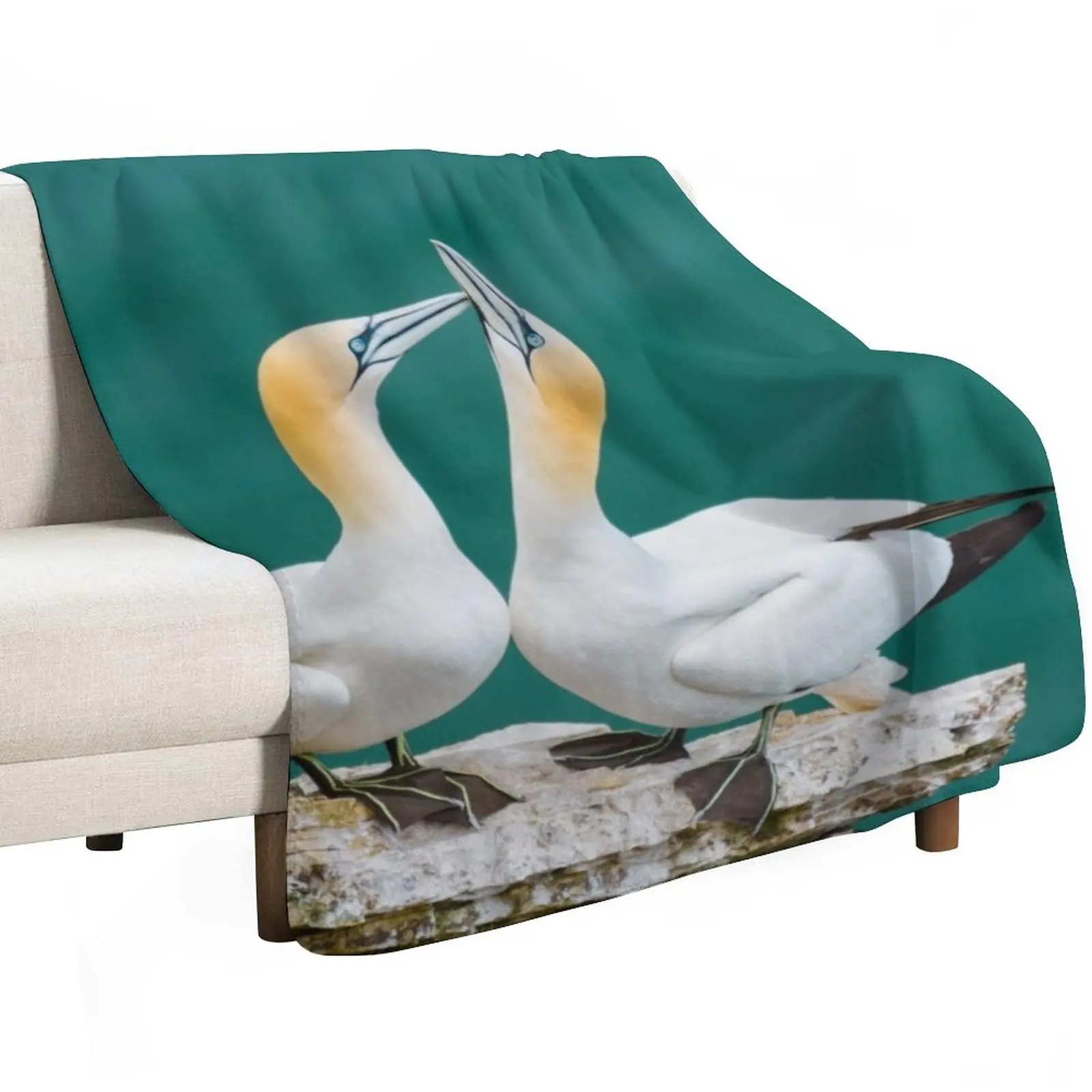 

Bonding Gannets Throw Blanket Hairys For Decorative Sofa Fashion Sofas Blankets