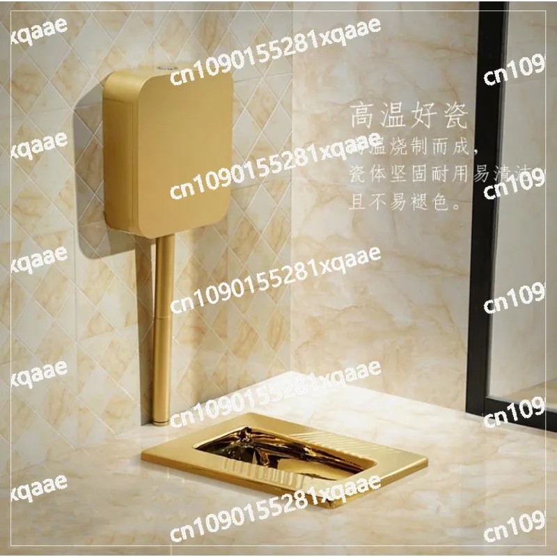 Ceramic electroplated bathroom sanitary ware, gold squatting toilet, anti-blocking, deodorant and silent home hotel light luxury