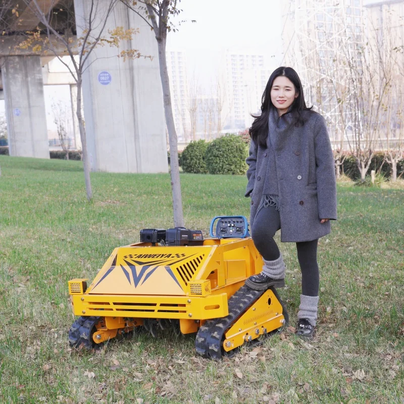 

Газонокосилка высокого стандарта по индивидуальному заказу. Система резки, не просто лезвие всех крутящих момента, без разговора.