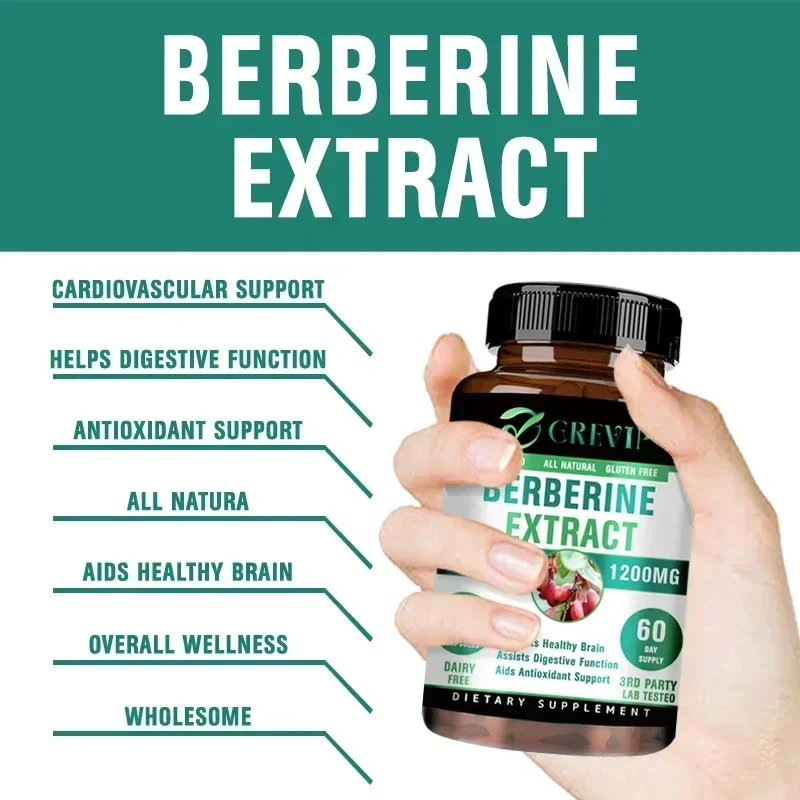 Berberine - Improve Intestinal Health, Promote Digestion, and Enhance Immunity