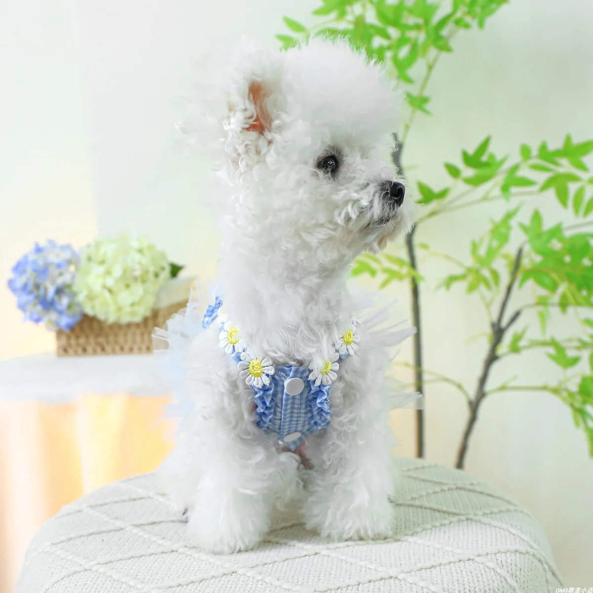 1PC Pet Clothing Cat Spring/Summer Thin Blue Rabbit Ear Gauze Dress Princess Dress Suitable for Small and Medium Dogs