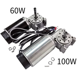 24V High Speed 250RPM 60W 100W Large Torque Electric DC Motor Geared Motor with Intelligent Encoder Automatic Door Motor